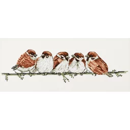 House Sparrows