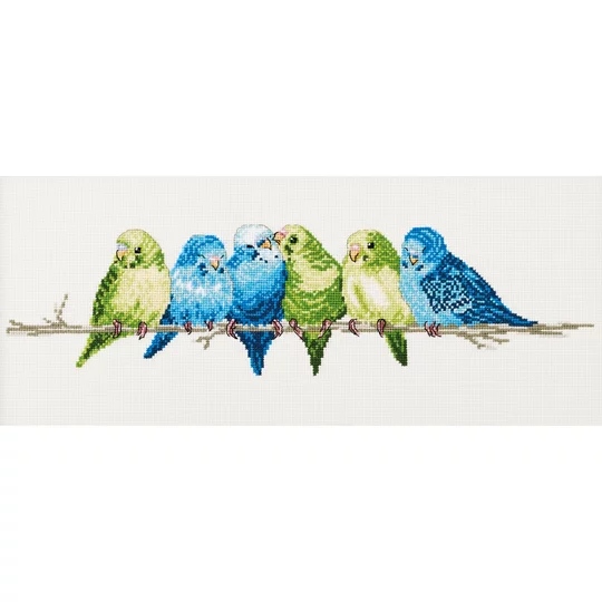 Budgerigars
