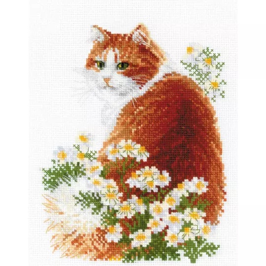 Ginger Meow