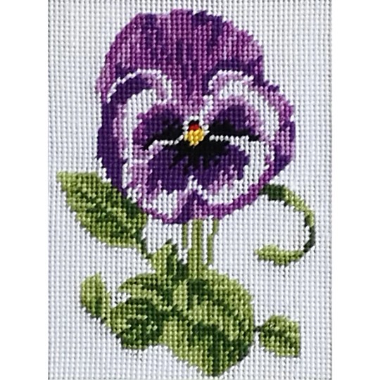 Pansy