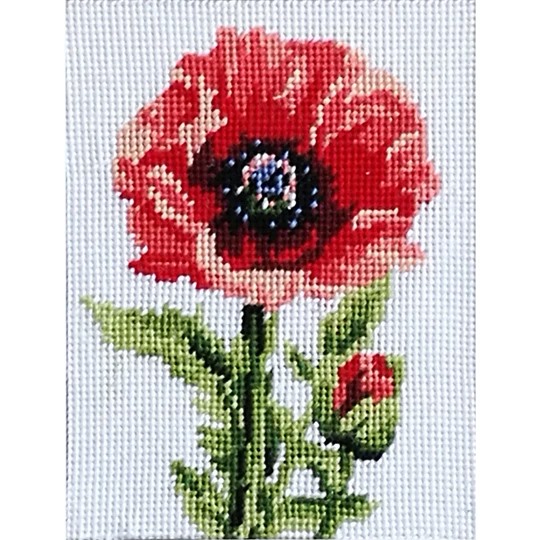 Poppy