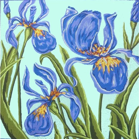 Irises