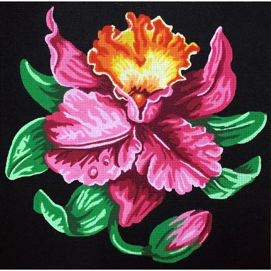 Exotic Flower