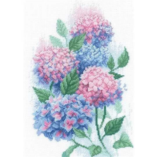 Graceful Hydrangeas