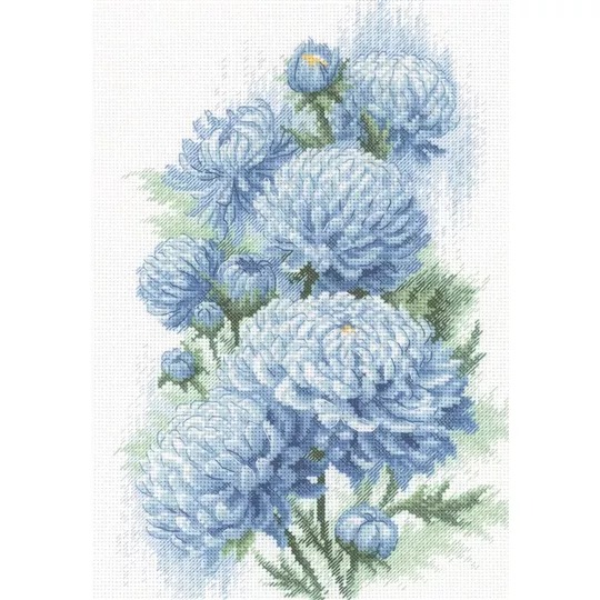 Delicate Chrysanthemums