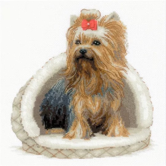 Yorkshire Terrier