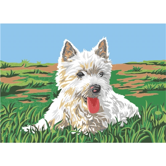 Westie