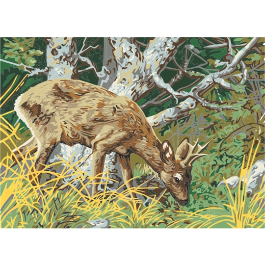 Woodland Deer