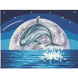 Moonlight Dolphin