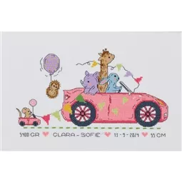 Pink Car Birth Sampler