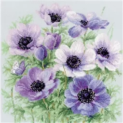Purple Anemones