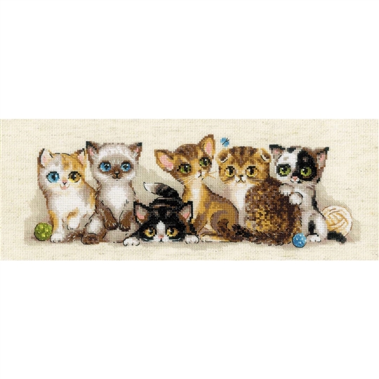 Kittens