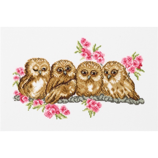 Owls