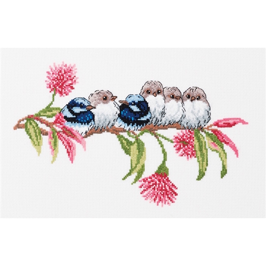 Blue Wren