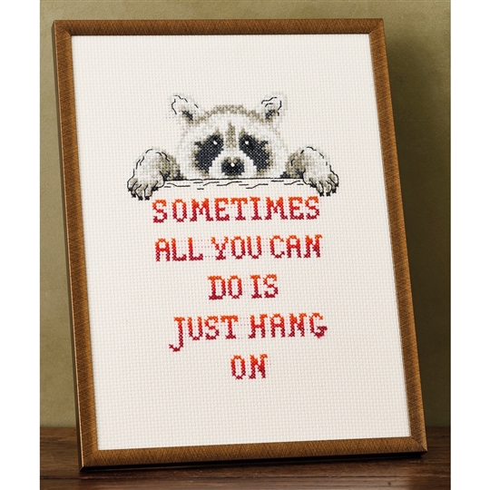 Raccoon