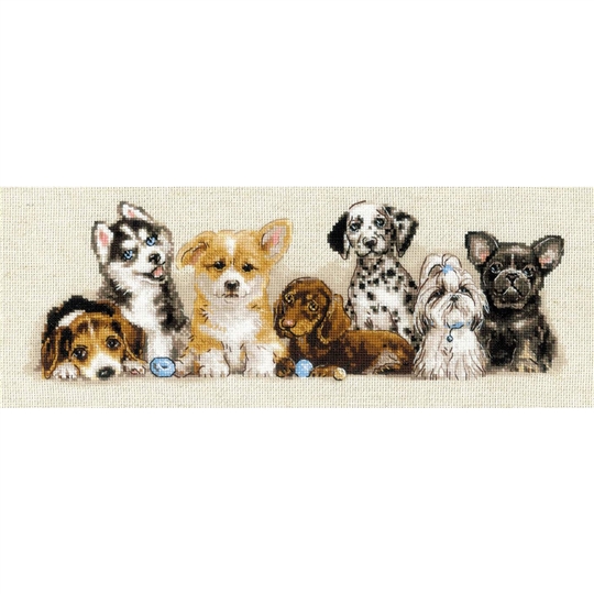 Puppies
