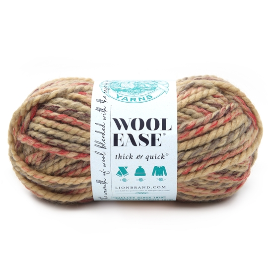 Wool Ease Thick & Quick - Jam Cookie 140g