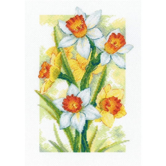 Spring Glow - Daffodils