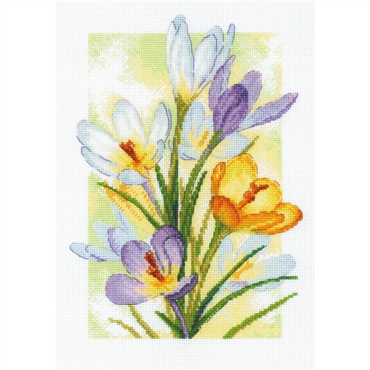 Spring Glow - Crocuses