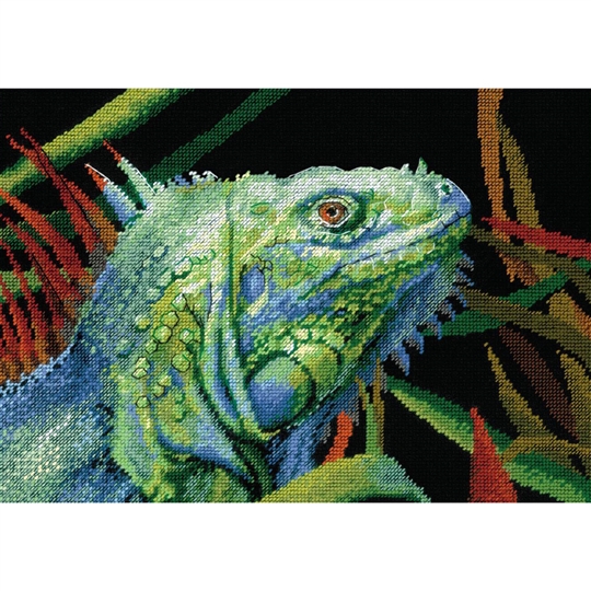 Iguana