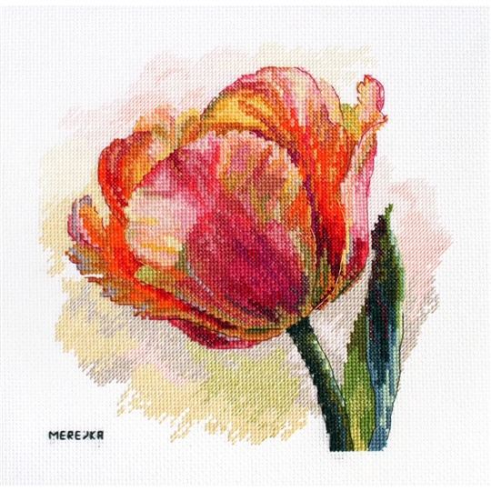 Parrot Tulip