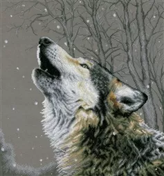 Howling at the Stars 