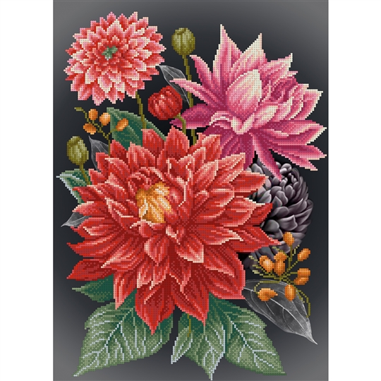 Dahlias