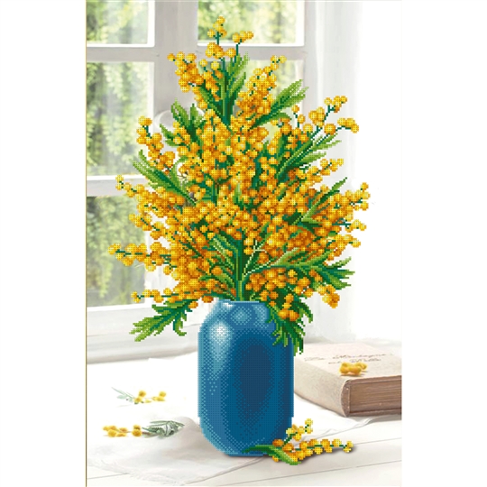 Mimosa