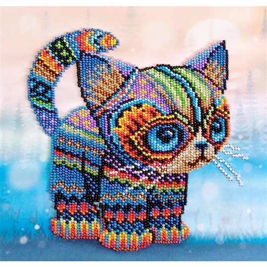 Colourful Kitten