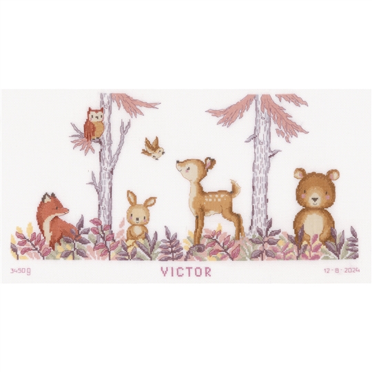 In the Forest Birth Record 