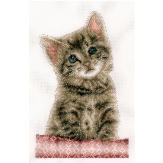 Tabby Cat 