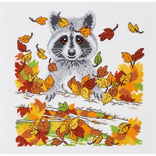 Raccoon