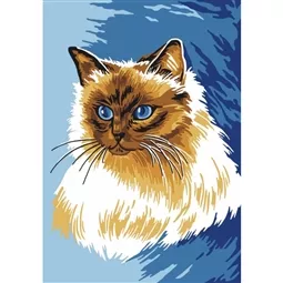 Himalayan Cat