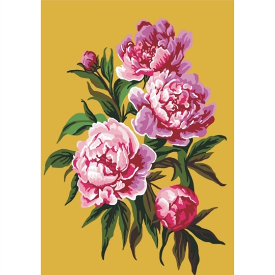 Peony Joy
