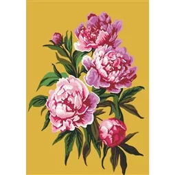 Peony Joy