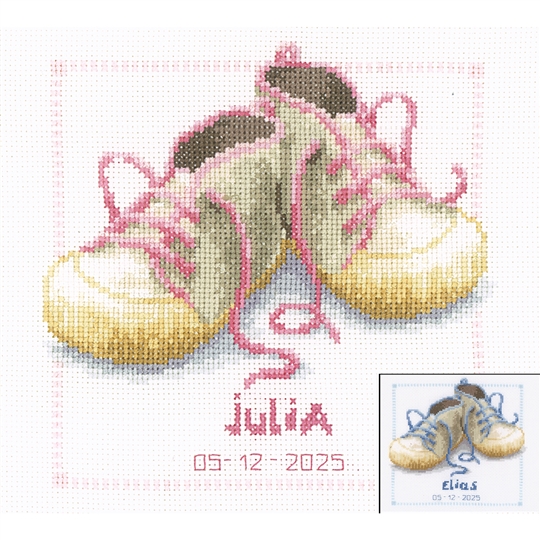 Shoes with Pink/Blue Laces 