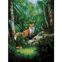 Fox in the Forest