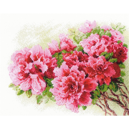 Gorgeous Azalea