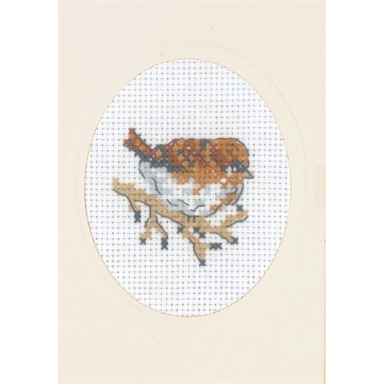 House Sparrow Card