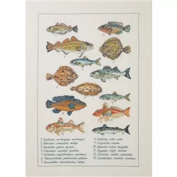 Fish Sampler