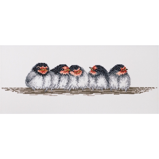 Row of Swallow Chicks