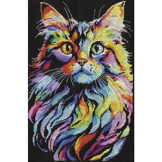 Colourful Cat