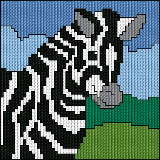 Zebra