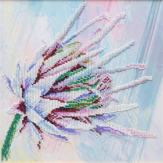 Protea Bloom