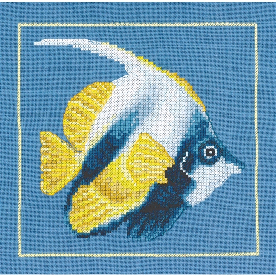 Yellow Angel Fish