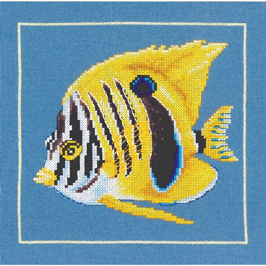 Yellow Zebra Fish