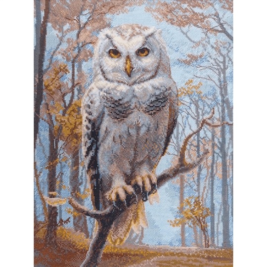 Wildwood Owl