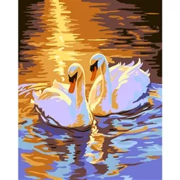 Sunset Swans