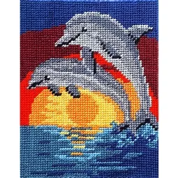 Sunset Dolphins