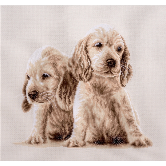 Two Puppies